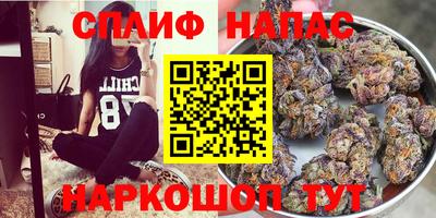 дмт Тара