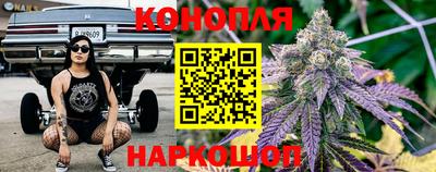 apvp Ставрополь