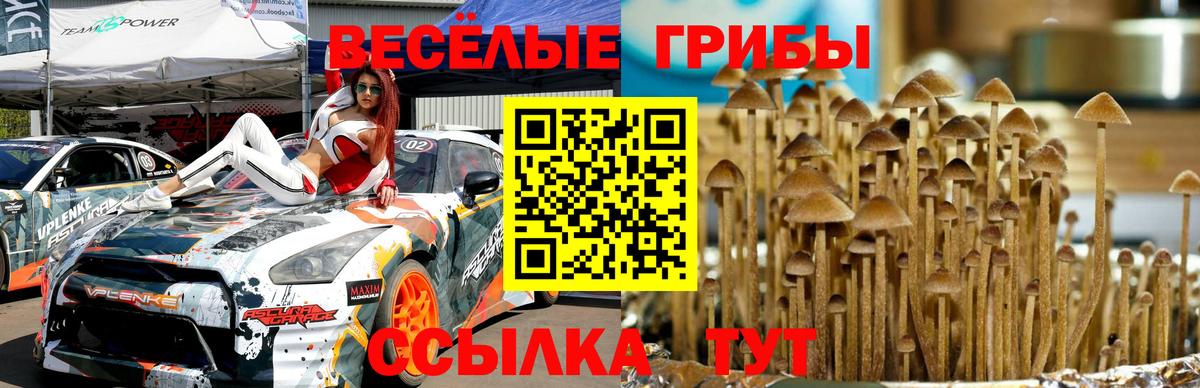 Новый Уренгой  Галлюциногенные грибы мицелий  Вход с VPN 
