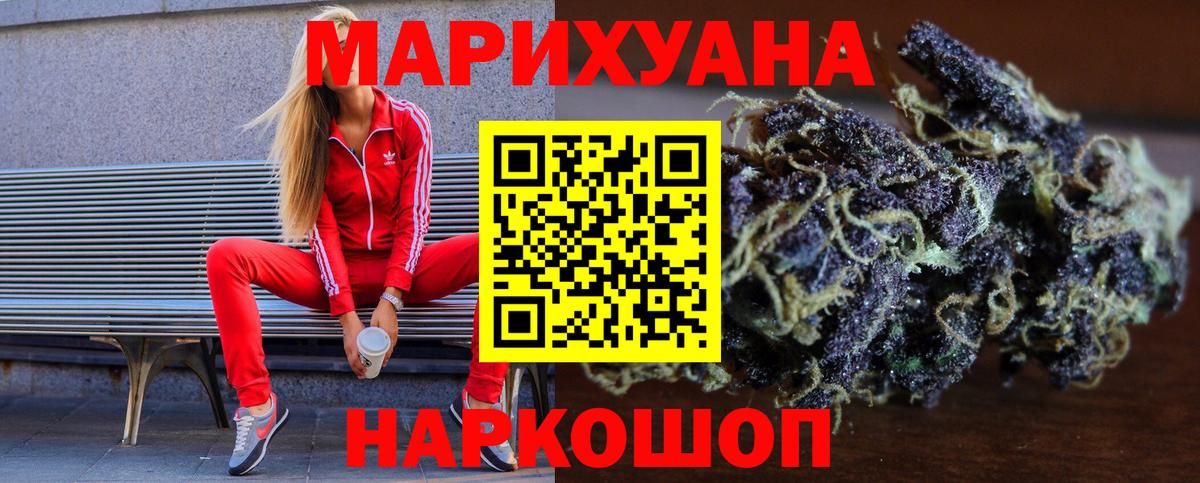 Каннабис планчик Новый Уренгой